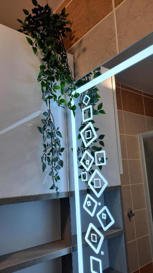 Apartman Modena Lux Vrnjačka Banja Екстериор снимка